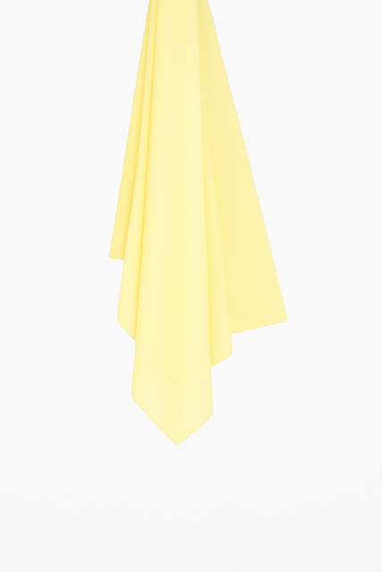 Lemon light